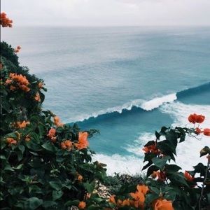 Meet your Posher, Nevaeh